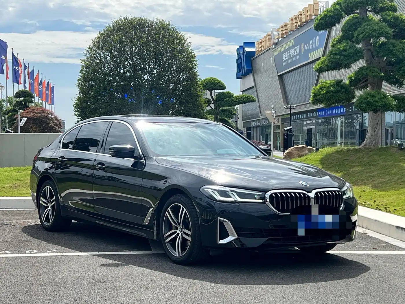 BMW 5 Series 2021 Facelift 530Li Leading Luxury Package фото 3