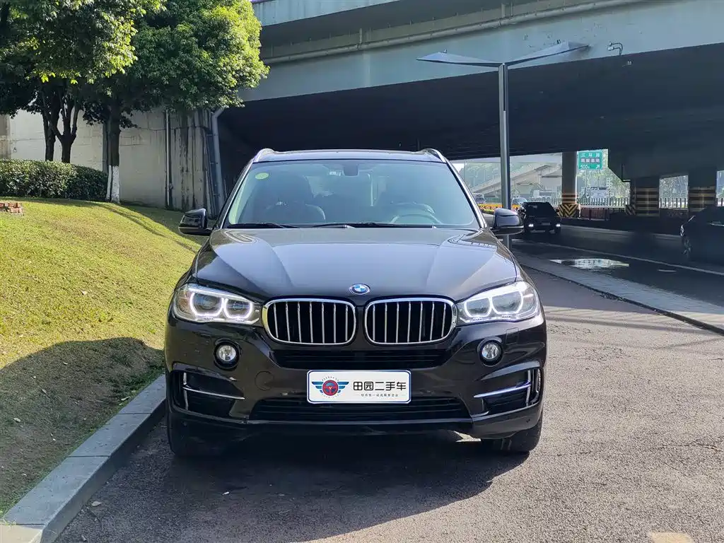 BMW X5 (Import) 2017 xDrive35i Elegance фото 2