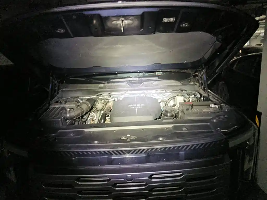 Фото 3 - Dongfeng Zhengzhou Nissan Z9