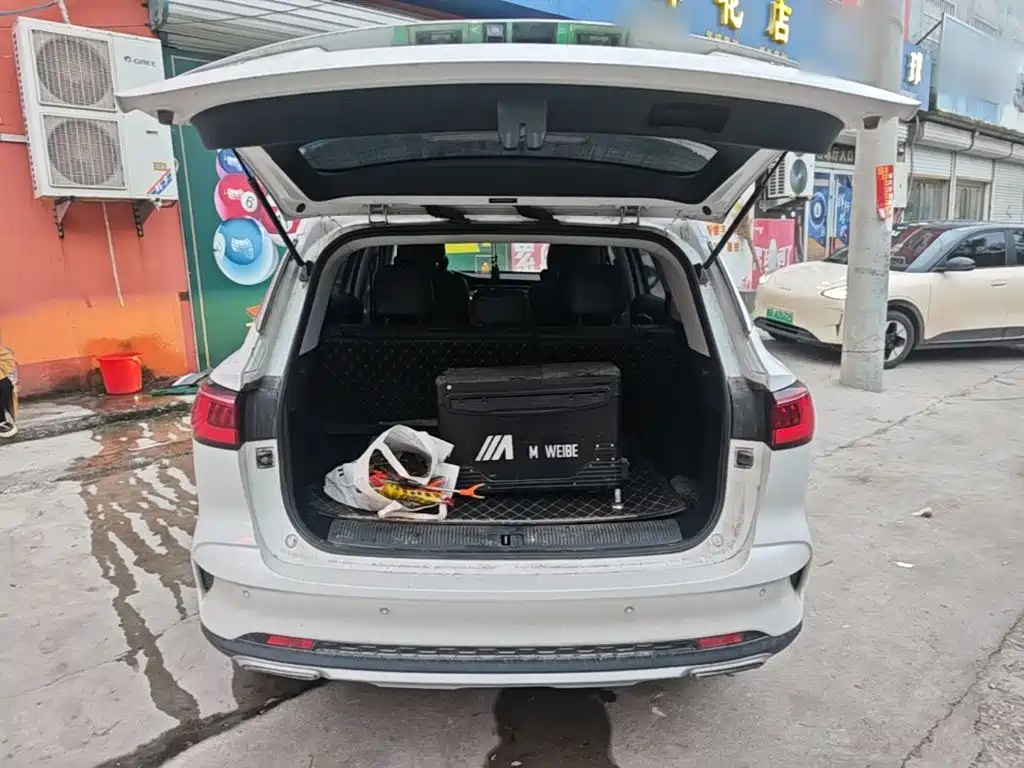 Фото 19 - Roewe RX5 MAX