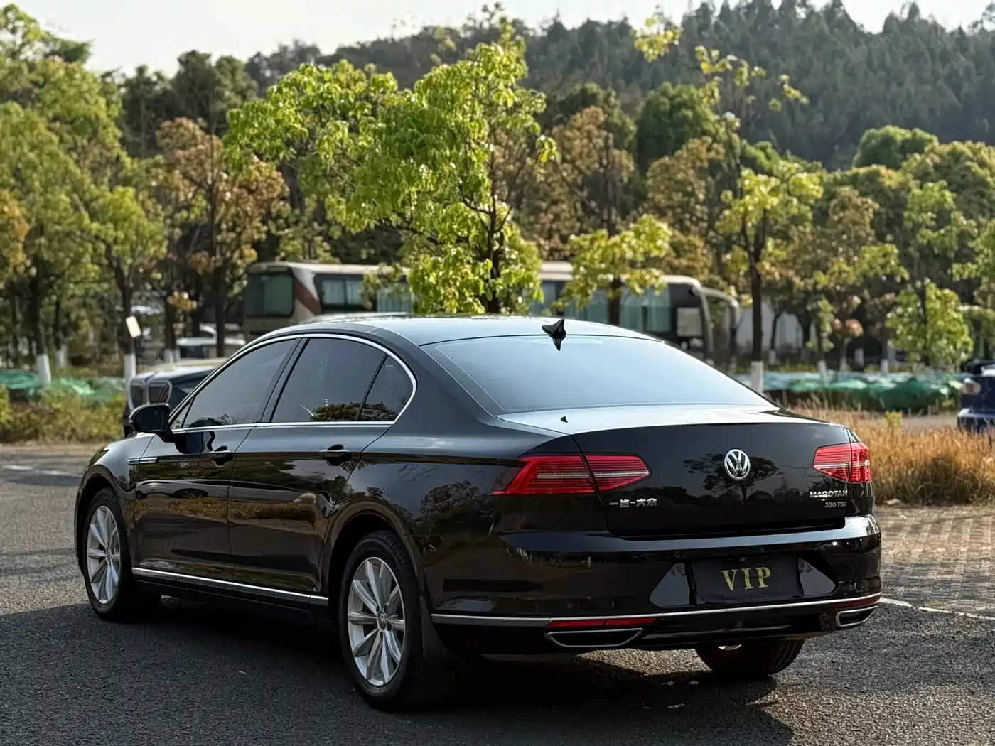 Volkswagen Magotan 2019 330TSI DSG Leading China VI фото 21