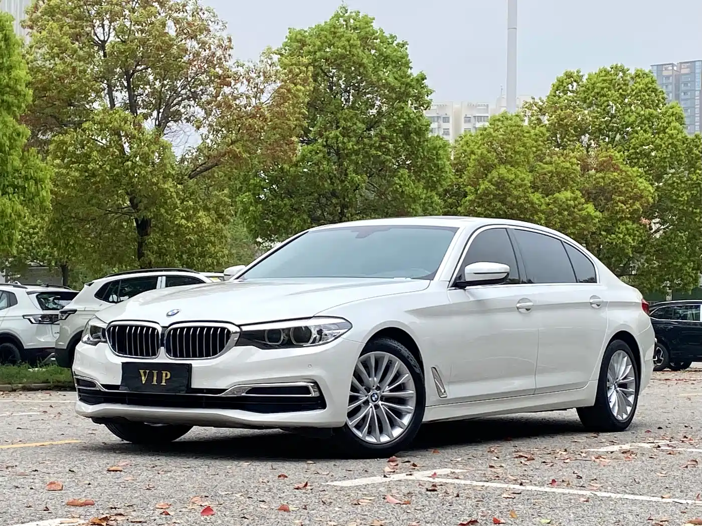 BMW 5 Series 2019 Facelift 525Li Luxury Package
