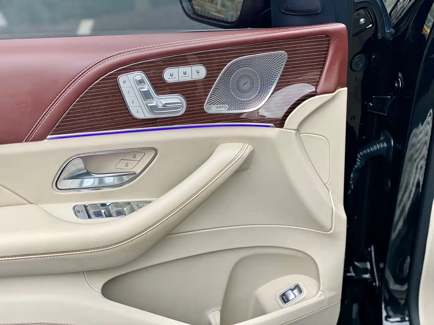 Mercedes-Benz Maybach GLS 2021 GLS 480 4MATIC фото 13