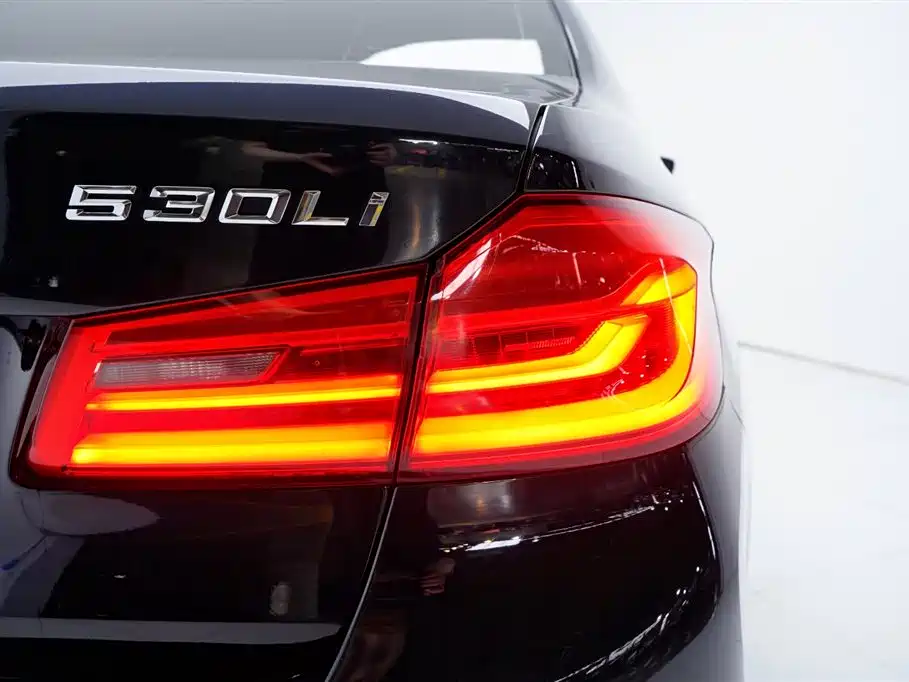BMW 5 Series 2019 530Li Leading M Sport Package фото 12
