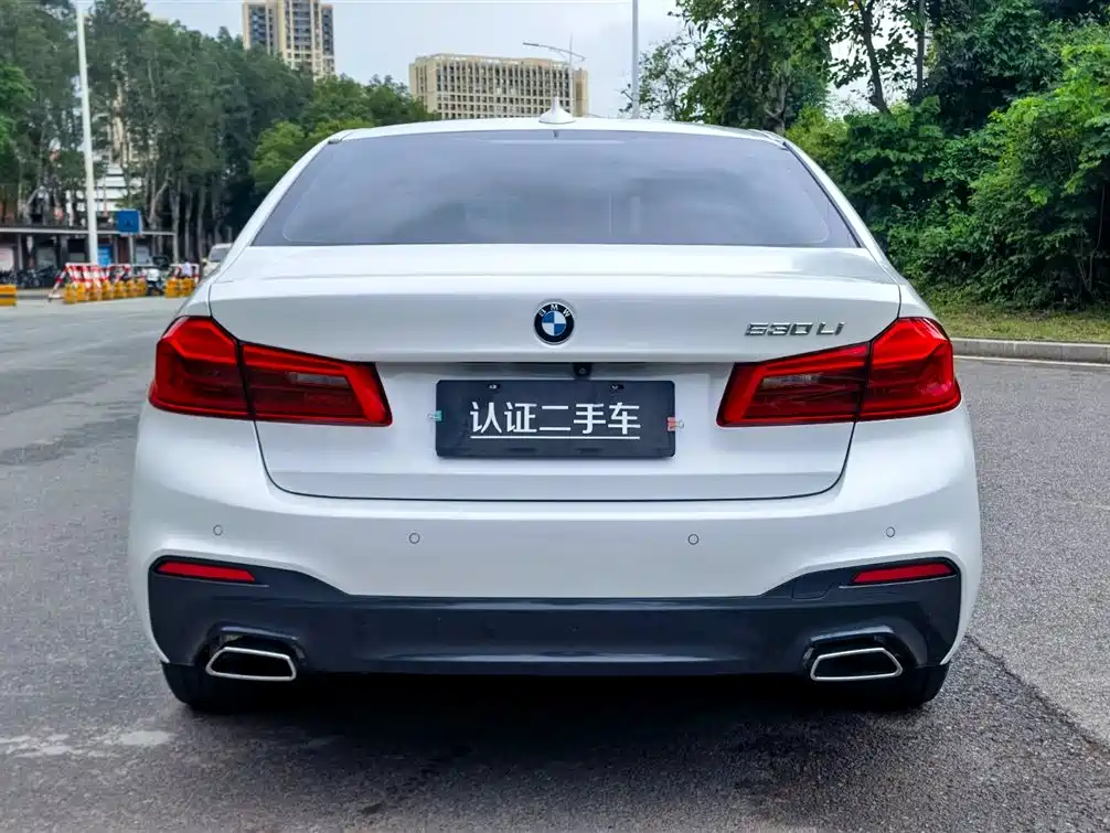 BMW 5 Series 2019 Facelift 530Li Premium M Sport Package фото 6