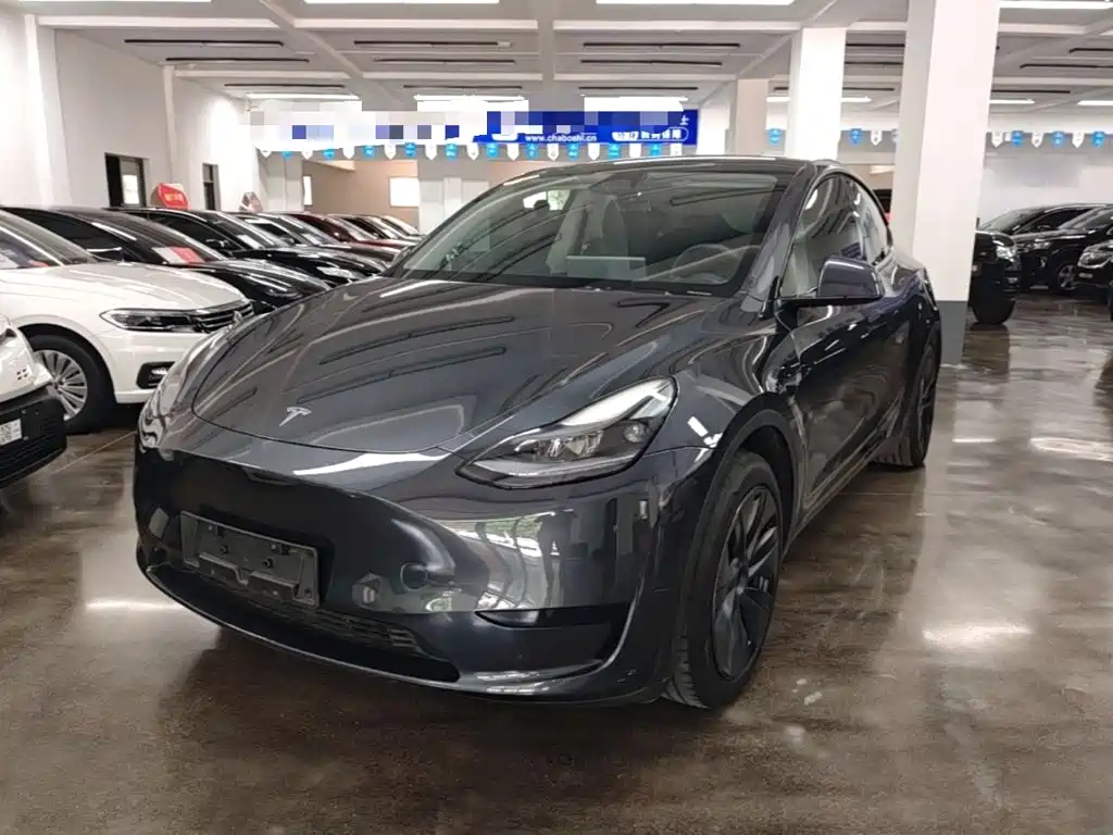 Tesla Model Y 2024 Rear-Wheel Drive Version