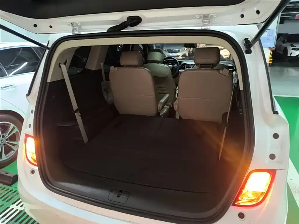 Buick GL6 2019 18T 6-seat Elite China VI фото 19