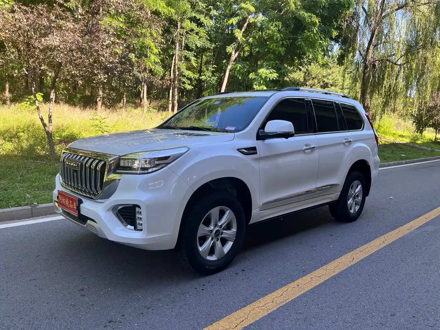 Haval H9 2022 2.0T Gasoline 4WD Premium 5-seater