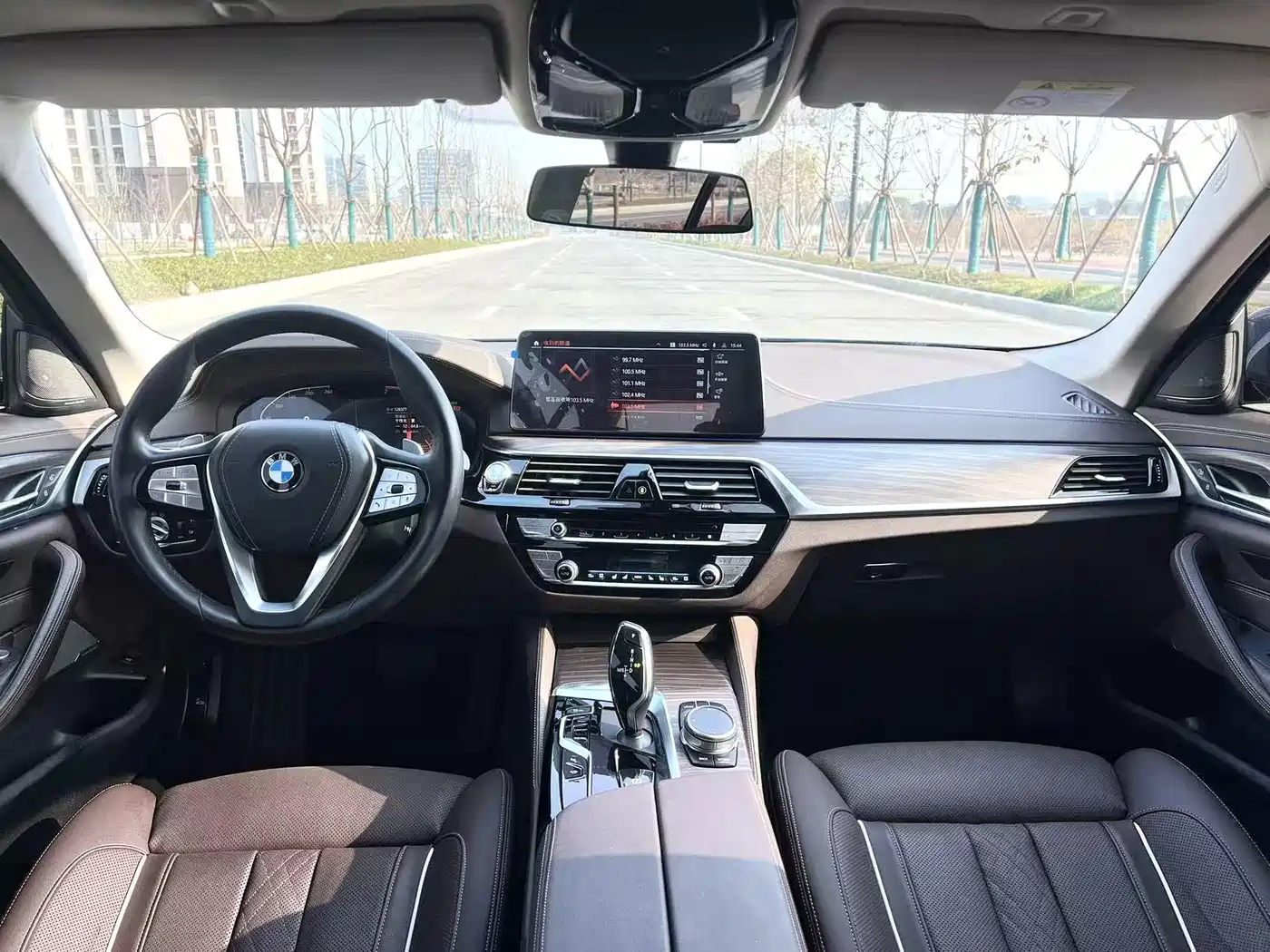 BMW 5 Series 2021 530Li Premium Luxury Package фото 9
