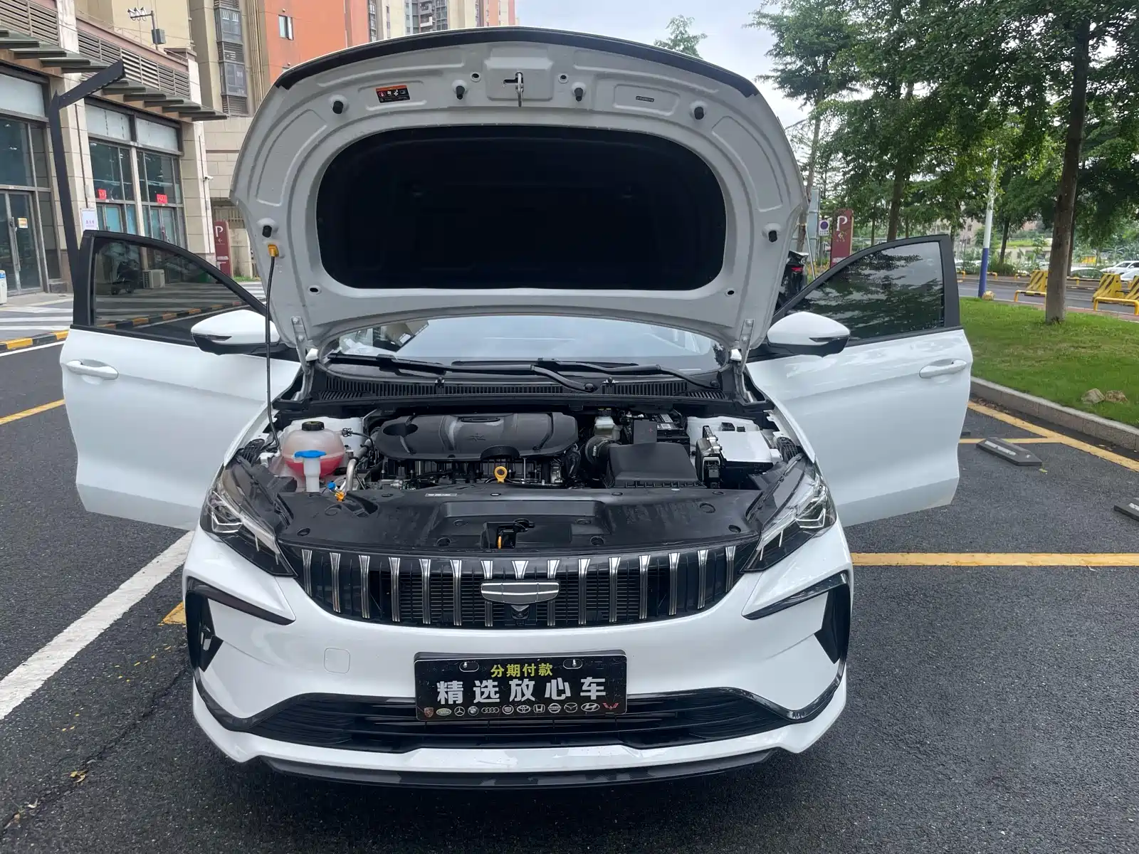 Фото 35 - Geely Binrui