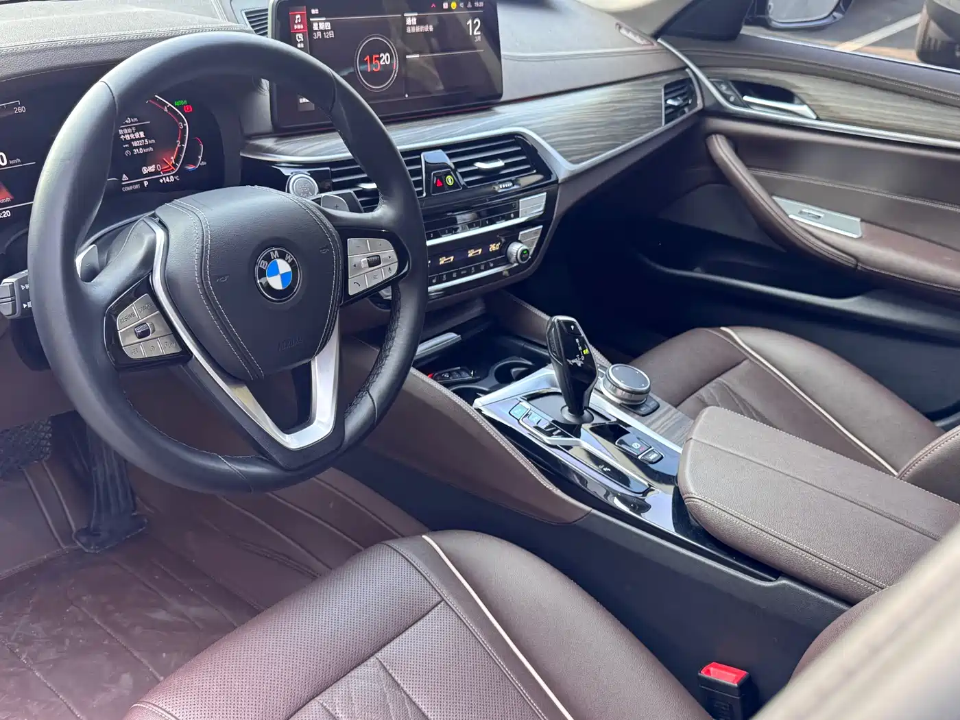 BMW 5 Series 2021 530Li Leading Luxury Package фото 14