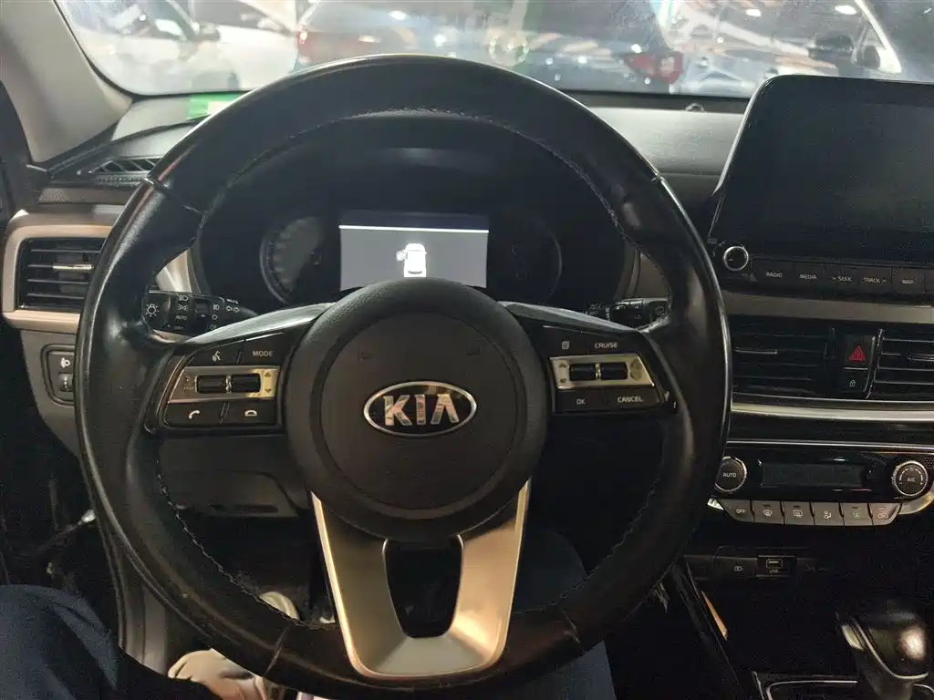 Kia Sportage 2019 2.0L Automatic Smart Luxury Edition фото 4