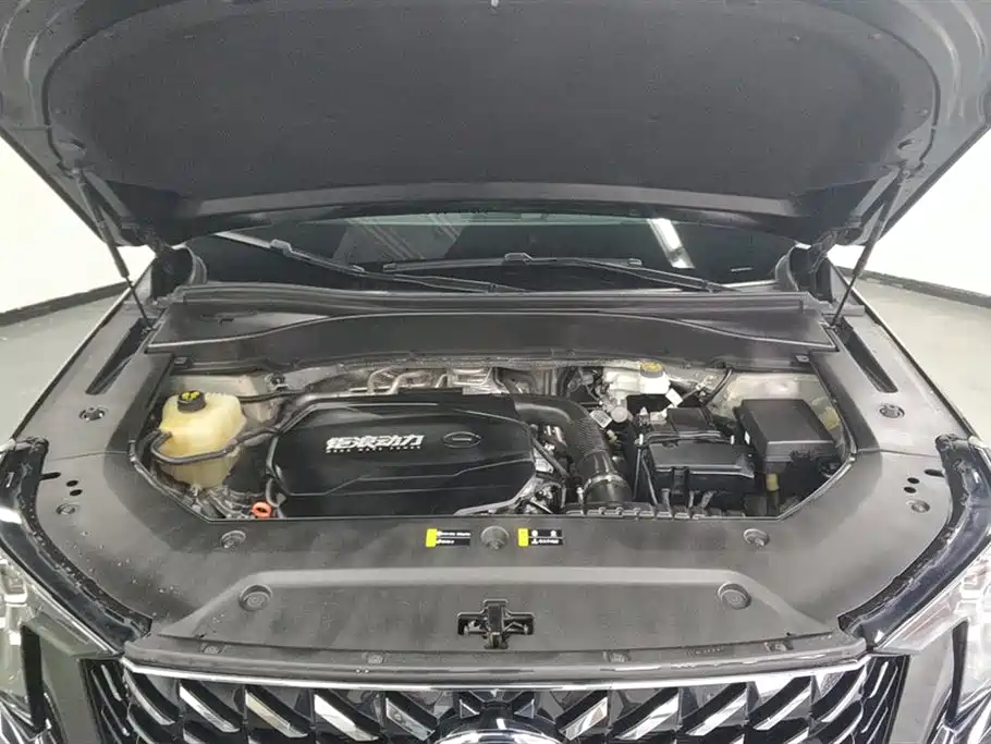 GAC TRUMPCHI GS8