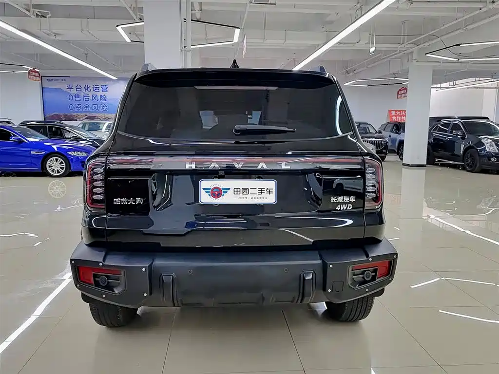 Haval Big Dog 2024 2.0T DCT Chinese Rural Dog Edition фото 5
