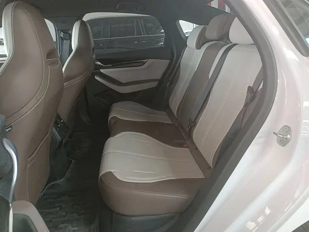 BYD Qin PLUS 2023 Champion Edition DM-i 55KM Leading фото 17