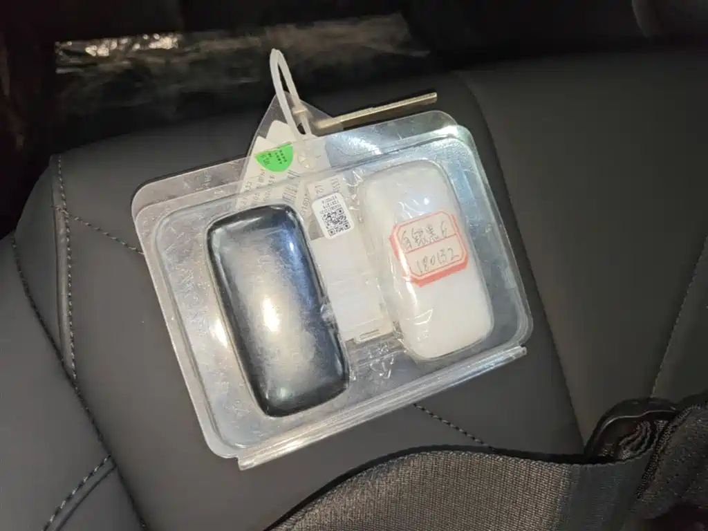 Geely Galaxy Galaxy Stellar 6 2025 Model 125km Free Edition фото 9