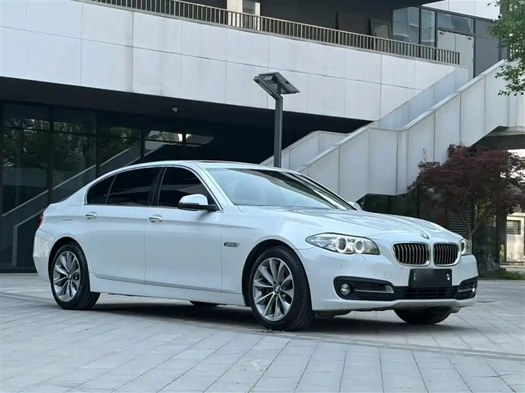 BMW 5 Series 2017 525Li Leading Edition фото 8