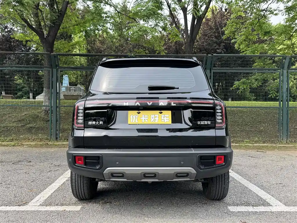 HAVAL BIG DOG