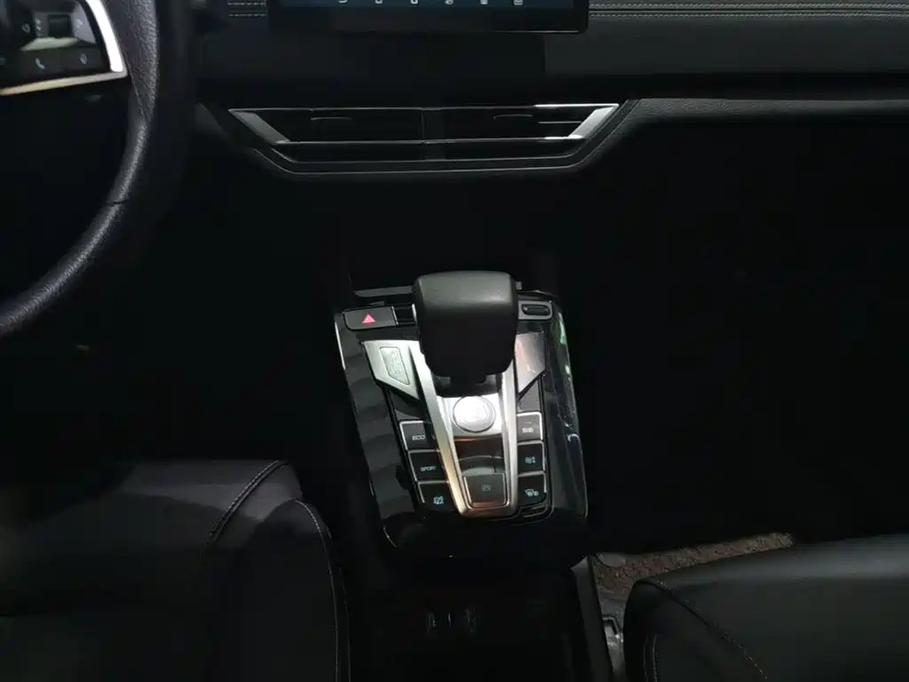 BYD Yuan New Energy 2019 EV535 Smart Connected Trend Leader Type фото 14