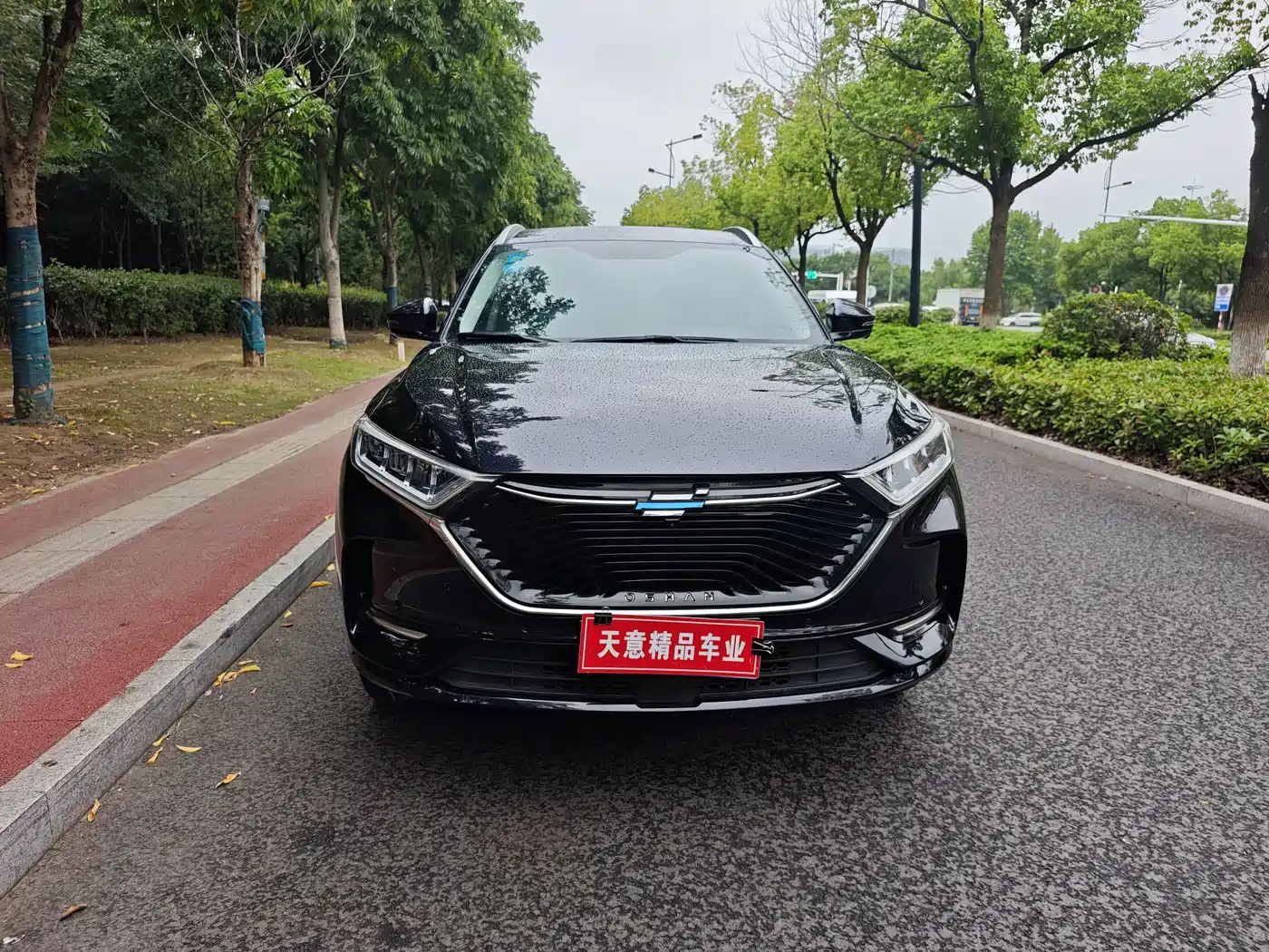Changan Oshan X7 2020 2020 1.5T Facial Recognition Full Auto Parking Space Leisure Edition