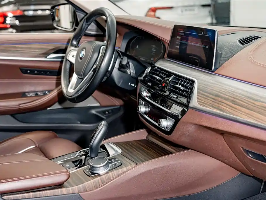 BMW 5 Series 2020 530Li Premium Luxury Package фото 21