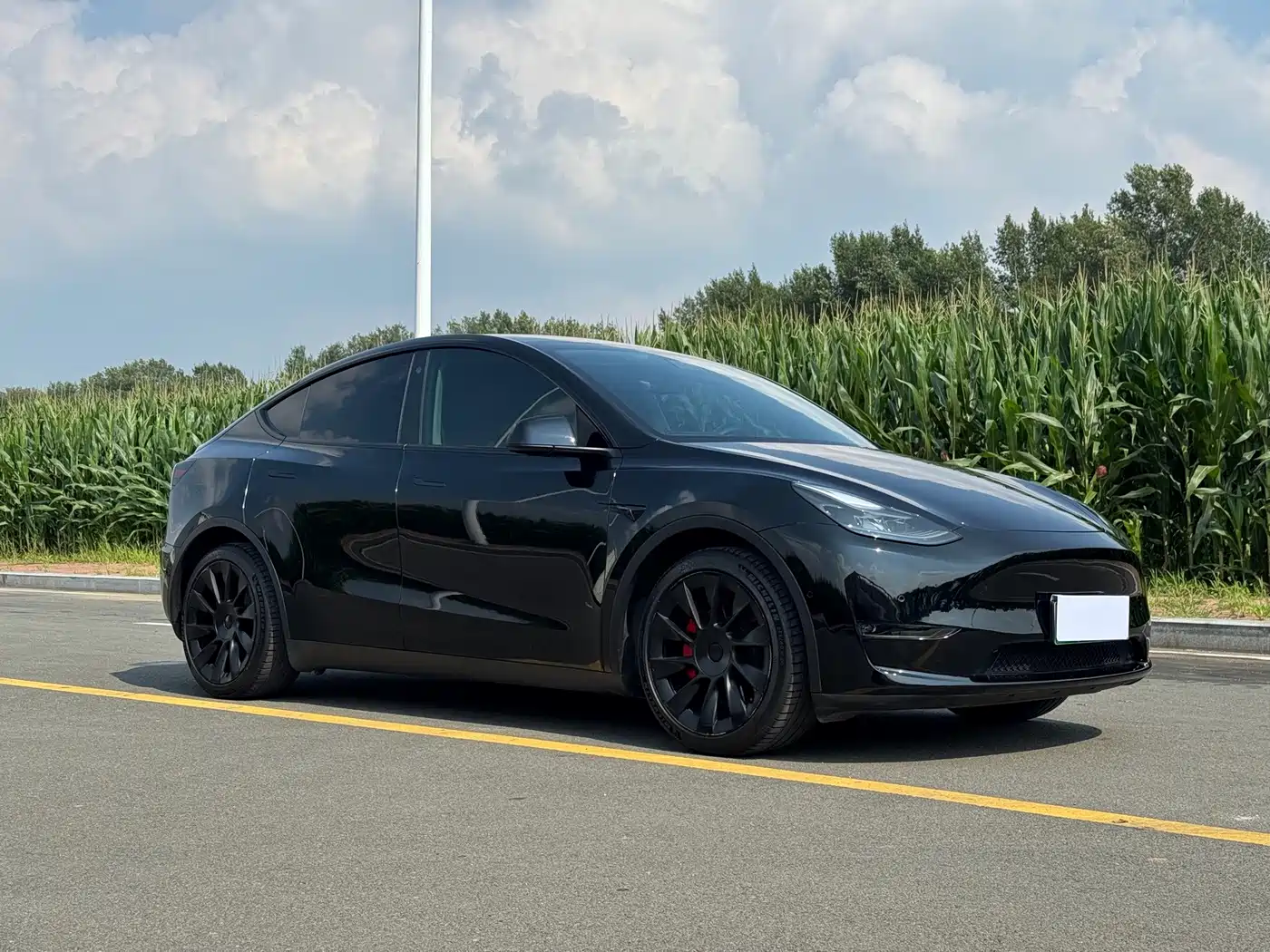 Tesla Model Y 2021 2021 Standard Range Rear-Wheel Drive