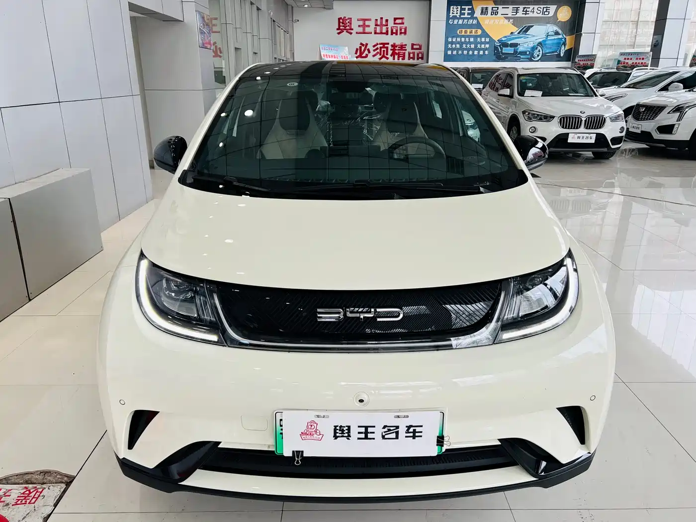 BYD Dolphin 2023 420km Fashion Edition фото 3