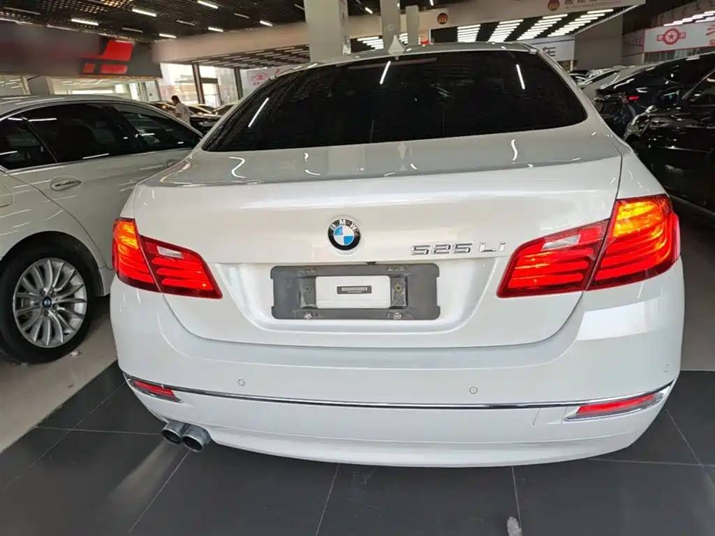 BMW 5 Series 2014 525Li Luxury Design Package фото 6