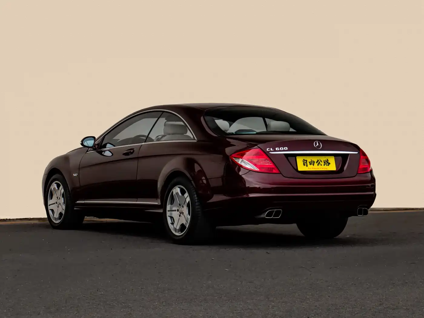Mercedes-Benz CL-Class 2008 Model CL 600 фото 6