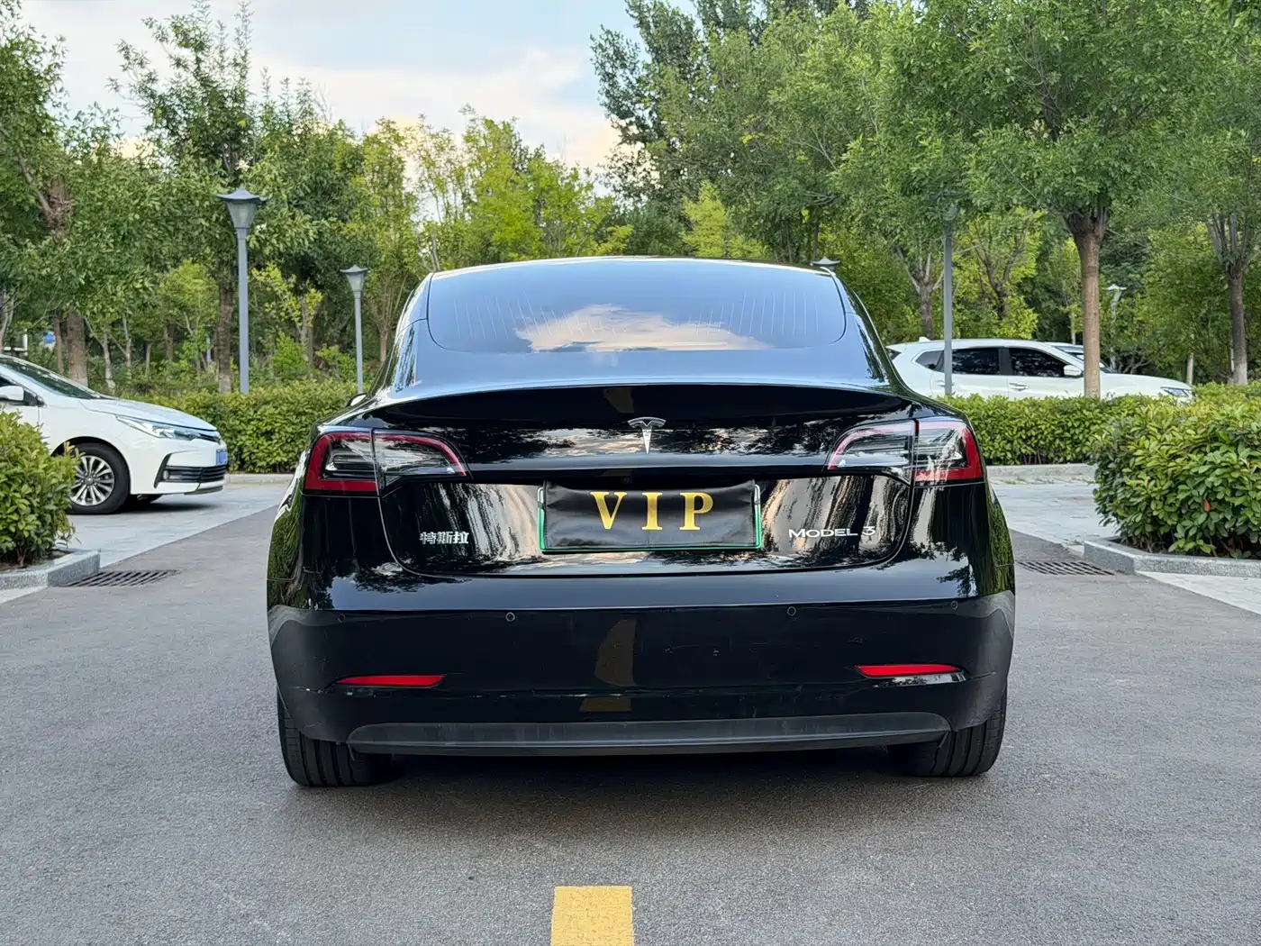 Tesla Model 3 2020 2020 Standard Range Rear-Wheel Drive Upgrade