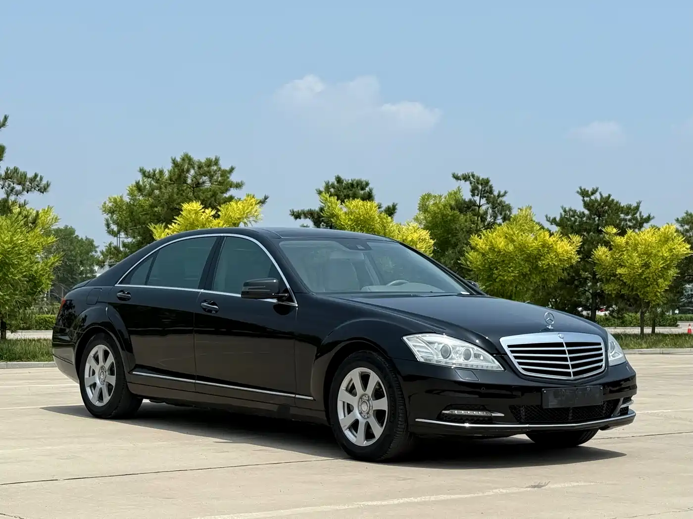 Mercedes-Benz S-Class 2010 S 300 L Business фото 2