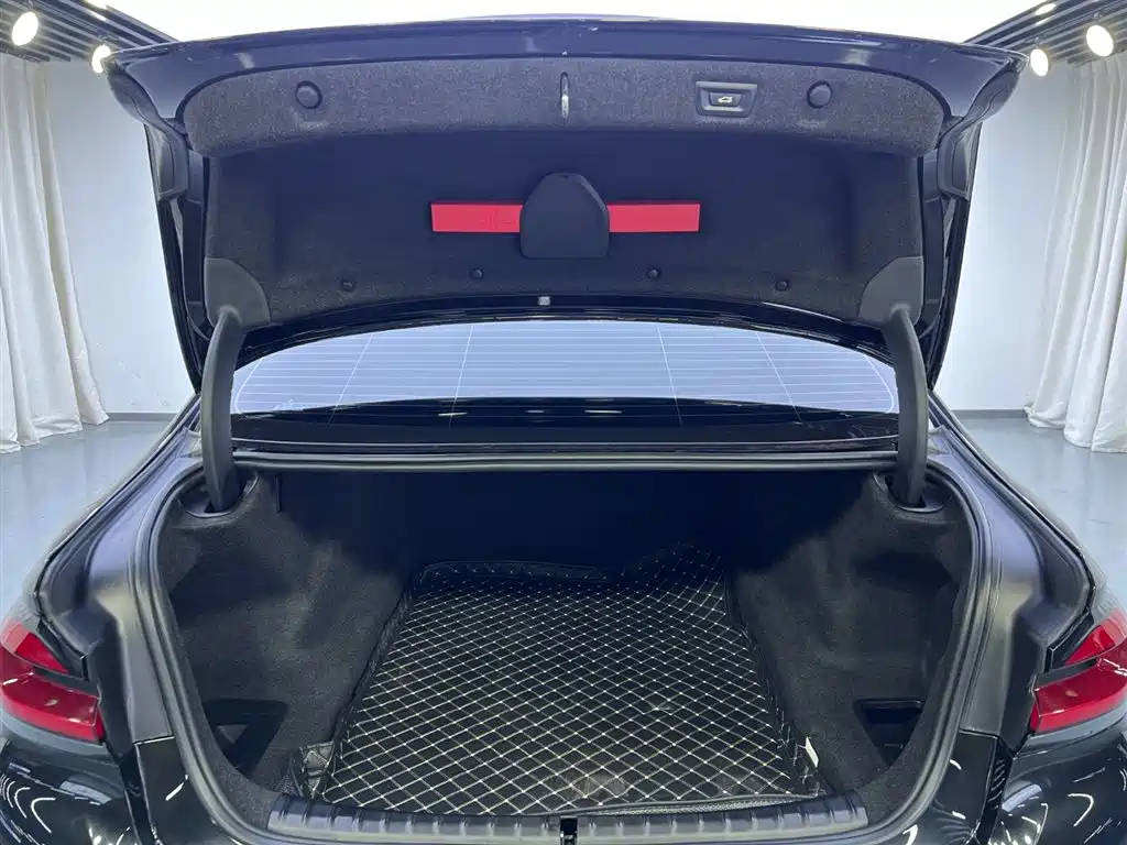 BMW 5 Series 2019 525Li Luxury Package фото 27