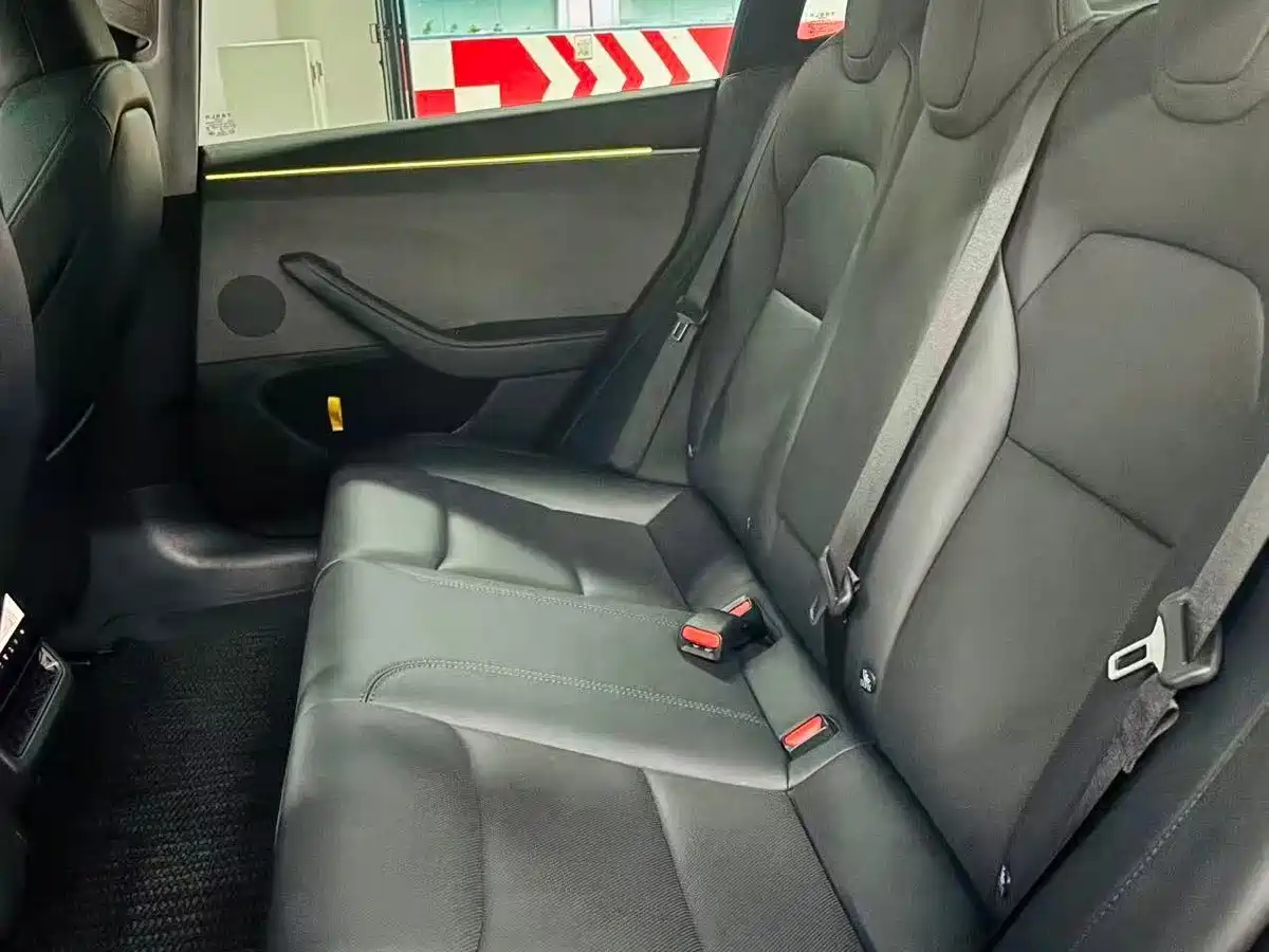 Tesla Model 3 2025 2025 Model Rear-Wheel Drive Edition