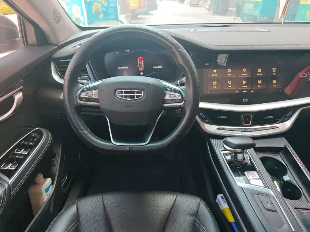 Фото 6 - Geely Borui