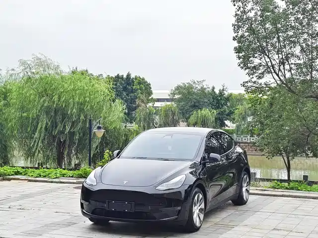 Tesla Model Y Стандартный запас хода, задний привод