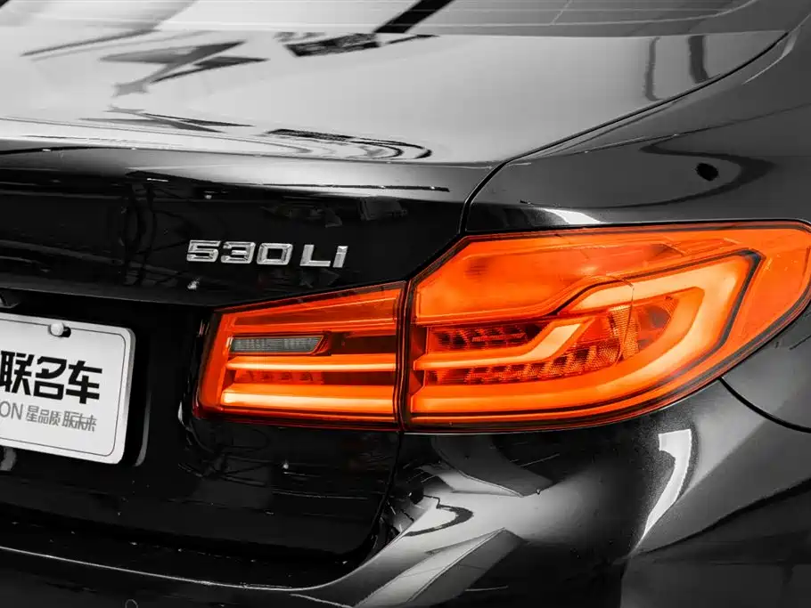 BMW 5 Series 2020 530Li Premium Luxury Package фото 9