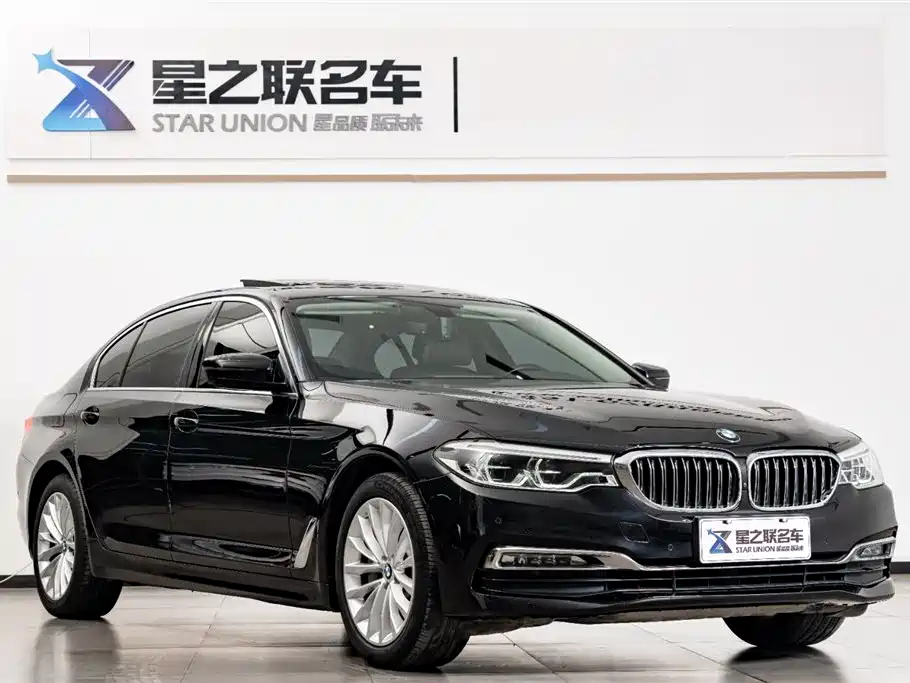 BMW 5 Series 2020 530Li Premium Luxury Package фото 5