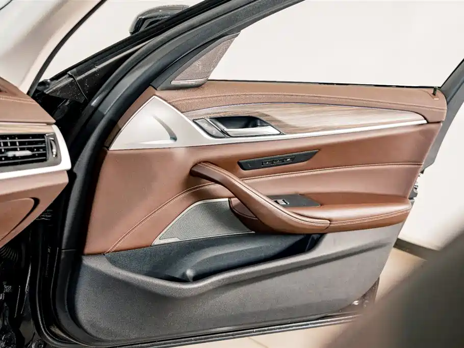 BMW 5 Series 2020 530Li Premium Luxury Package фото 17