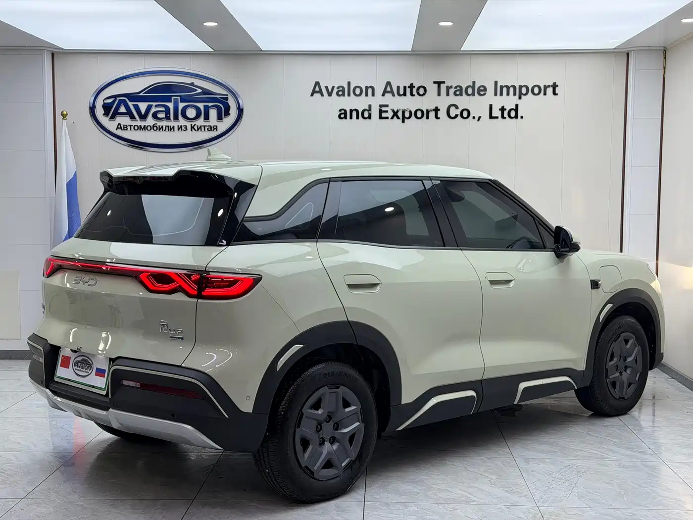 BYD Yuan UP 2025 2025 Smart Drive Edition 401KM Vitality Version