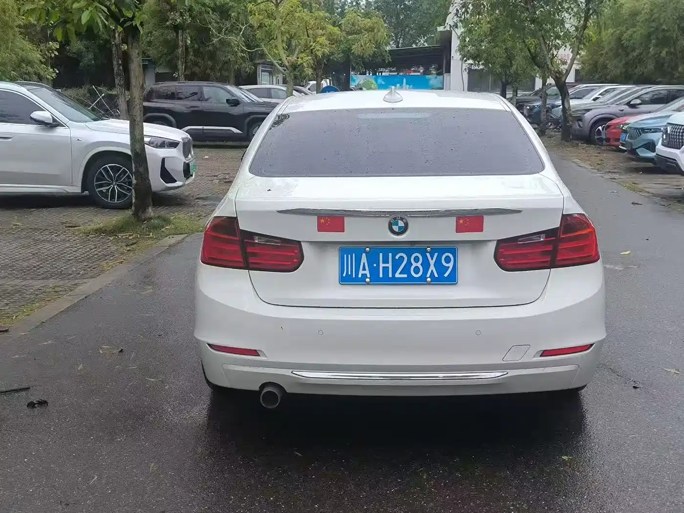 BMW 3 Series 2014 320Li Luxury Design Package фото 5