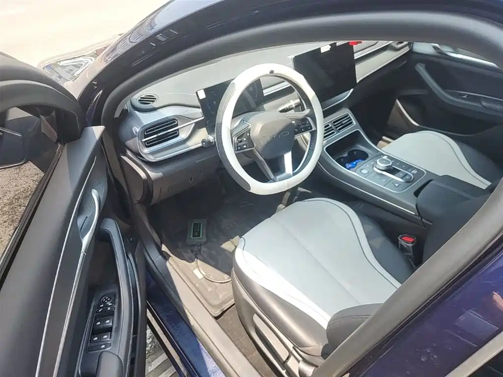 BYD Destroyer 05 2024 Glory Edition DM-i 55KM Luxury фото 16