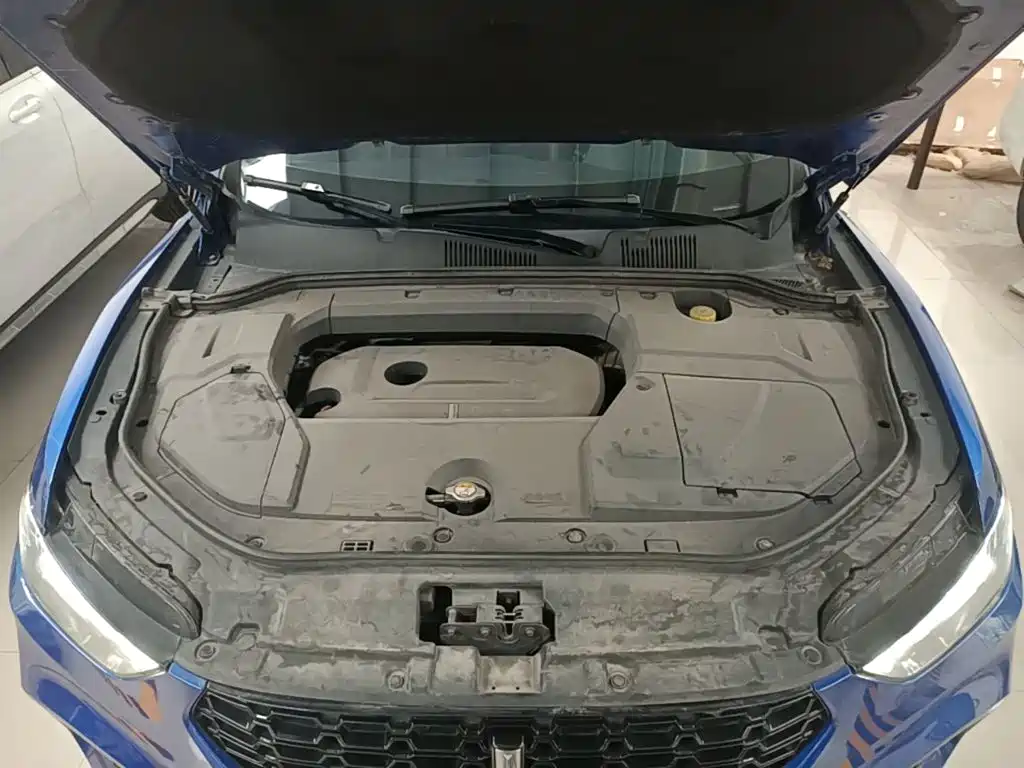 WEY VV5 2018 2017 2.0T Super Luxury Model