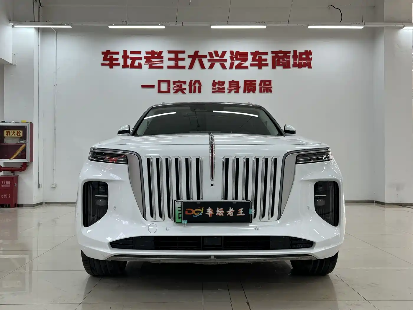 Hongqi HONGQI E HS9