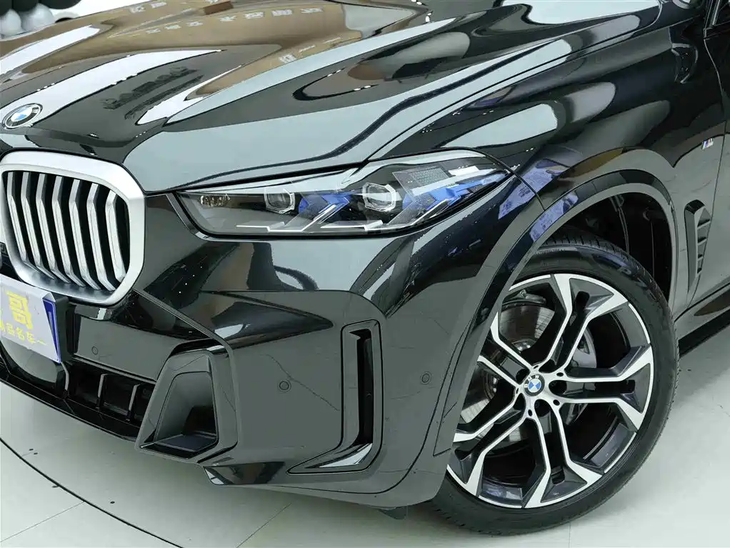 BMW X5 2023 xDrive 40Li M Sport Black Night Package фото 19