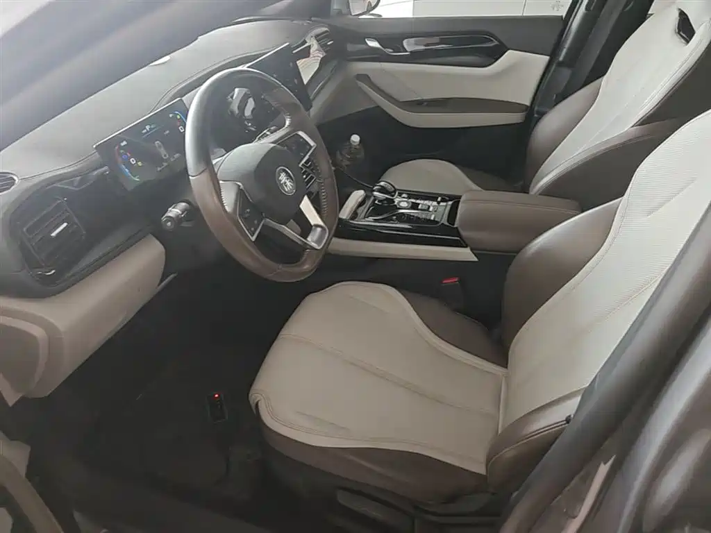 BYD Qin PLUS 2023 Champion Edition DM-i 55KM Leading фото 15