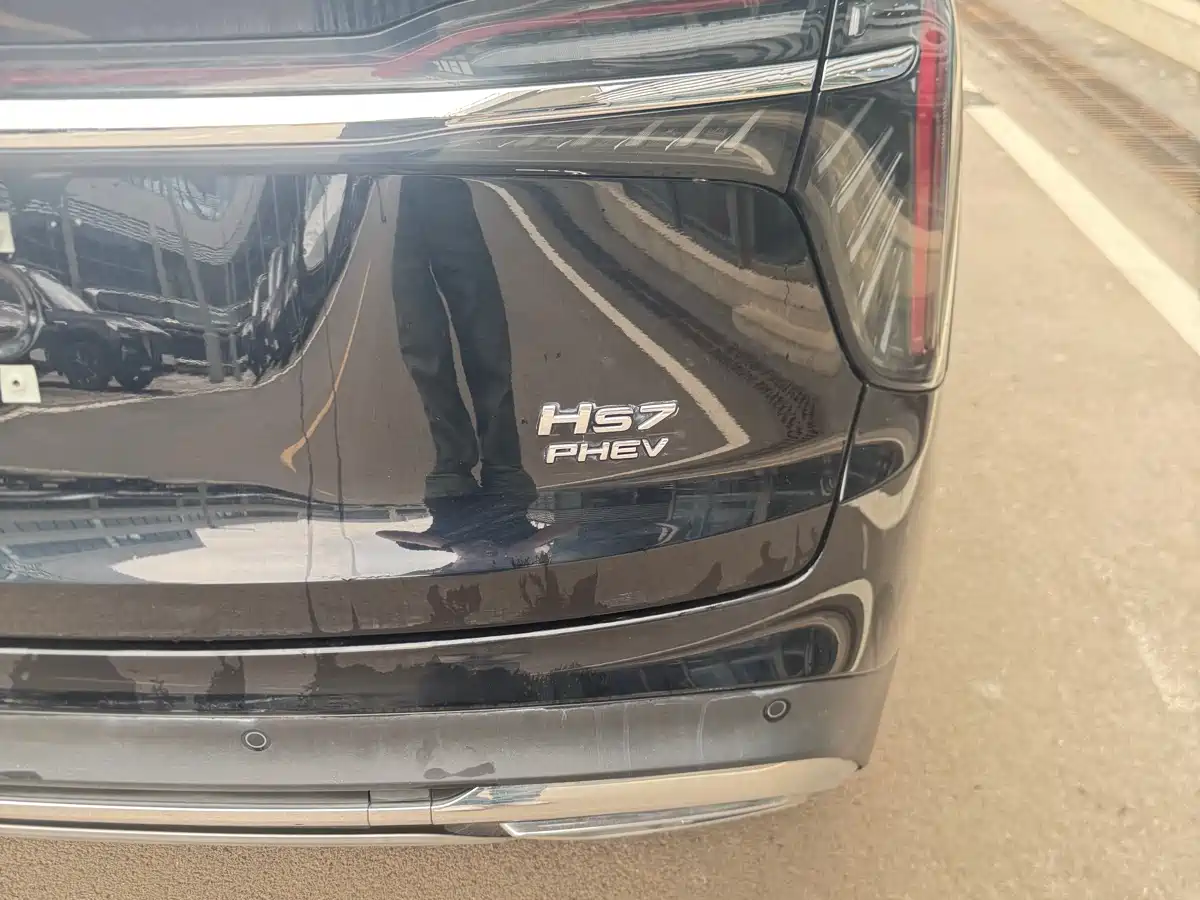 Hongqi HS7 PHEV 2024 2.0T PHEV 4WD Flagship Edition 6-seater фото 16