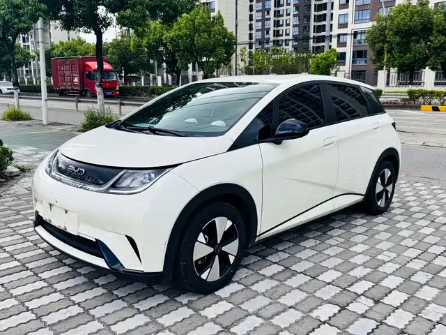BYD Dolphin Слава, 420km, Стиль
