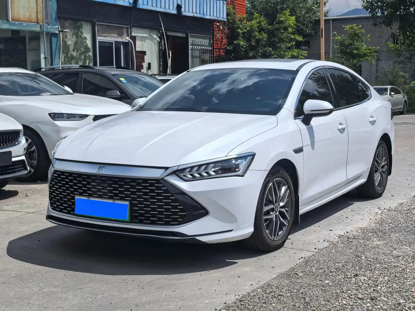 BYD Qin PLUS 2021