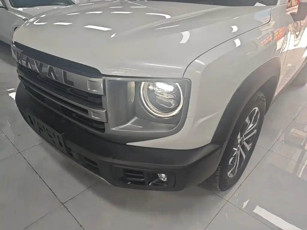 Haval Big Dog 2025 2024 1.5T DCT Border Collie Edition