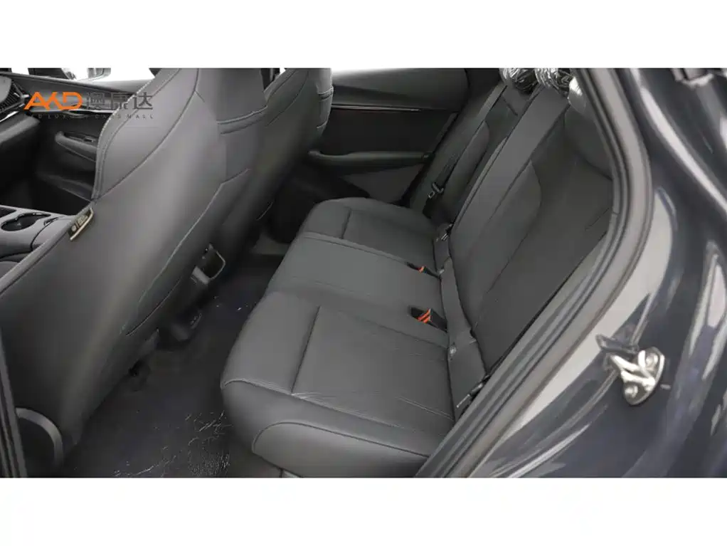 VOLKSWAGEN WITH THE CROWD 06